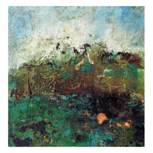 Milan Bretch - Selva Valdiviana