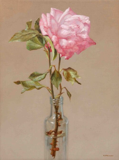 ENRIQUE CAMPUZANO - ROSA