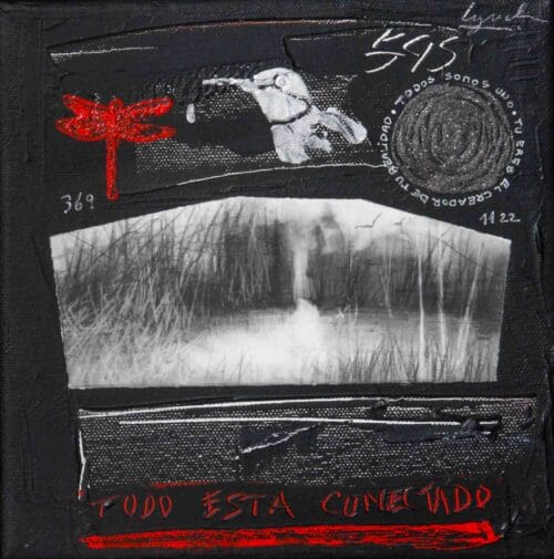 PAULA LYNCH - TODO ESTÁ CONECTADO